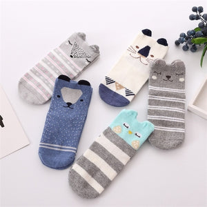 5 pairs/lot Autumn, Winter Kids Cotton Socks (Boy) | Kids