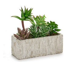 Load image into Gallery viewer, Decorative Plant Grey Green Ceramic Plastic (9 x 20 x 21,5 cm)
