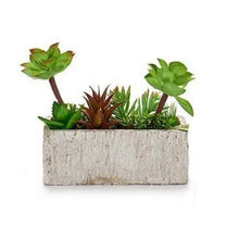 Load image into Gallery viewer, Decorative Plant Grey Green Ceramic Plastic (9 x 20 x 21,5 cm)
