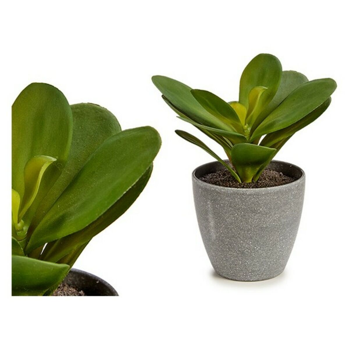 Plant Pot Green Plastic (11 x 15 x 11 cm) | Home & Garden