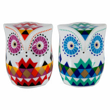 Load image into Gallery viewer, Biggdesign  Salt And Pepper Shakers, 2 Pcs, Owl Pattern, Porcelain | Kitchen
