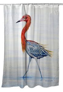 Betsy Drake SH820 70 x 72 in. Reddish Egret Shower Curtain