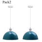 2 Pack Vintage Industrial Ceiling Pendant Light Retro Loft Style Metal | Home Improvement