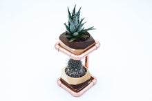 Load image into Gallery viewer, Geometric Double Cactus &amp; Succulent Planter with
