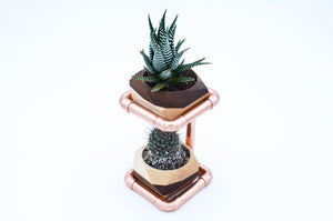 Geometric Double Cactus & Succulent Planter with