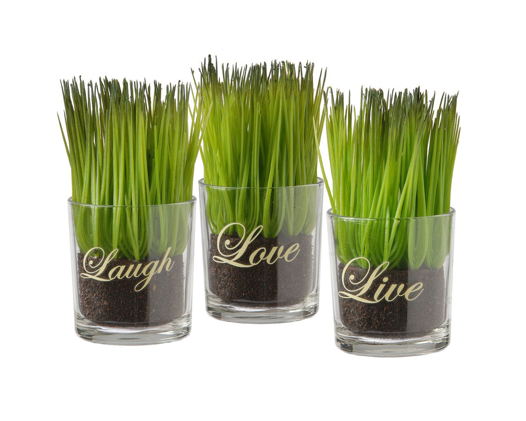 Assortment-Small Glass Cup Printed Live, Laugh & Love- Set of 3