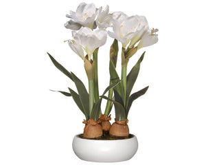 20" White Amaryllis Flowers | Home Decor