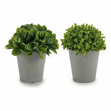 Load image into Gallery viewer, Decorative Plant Plastic 13 x 17 x 13 cm (12 Units)
