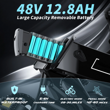 Load image into Gallery viewer, Electric Bike 750W Motor Fat Tire Ebike with Samsung 48V Battery
