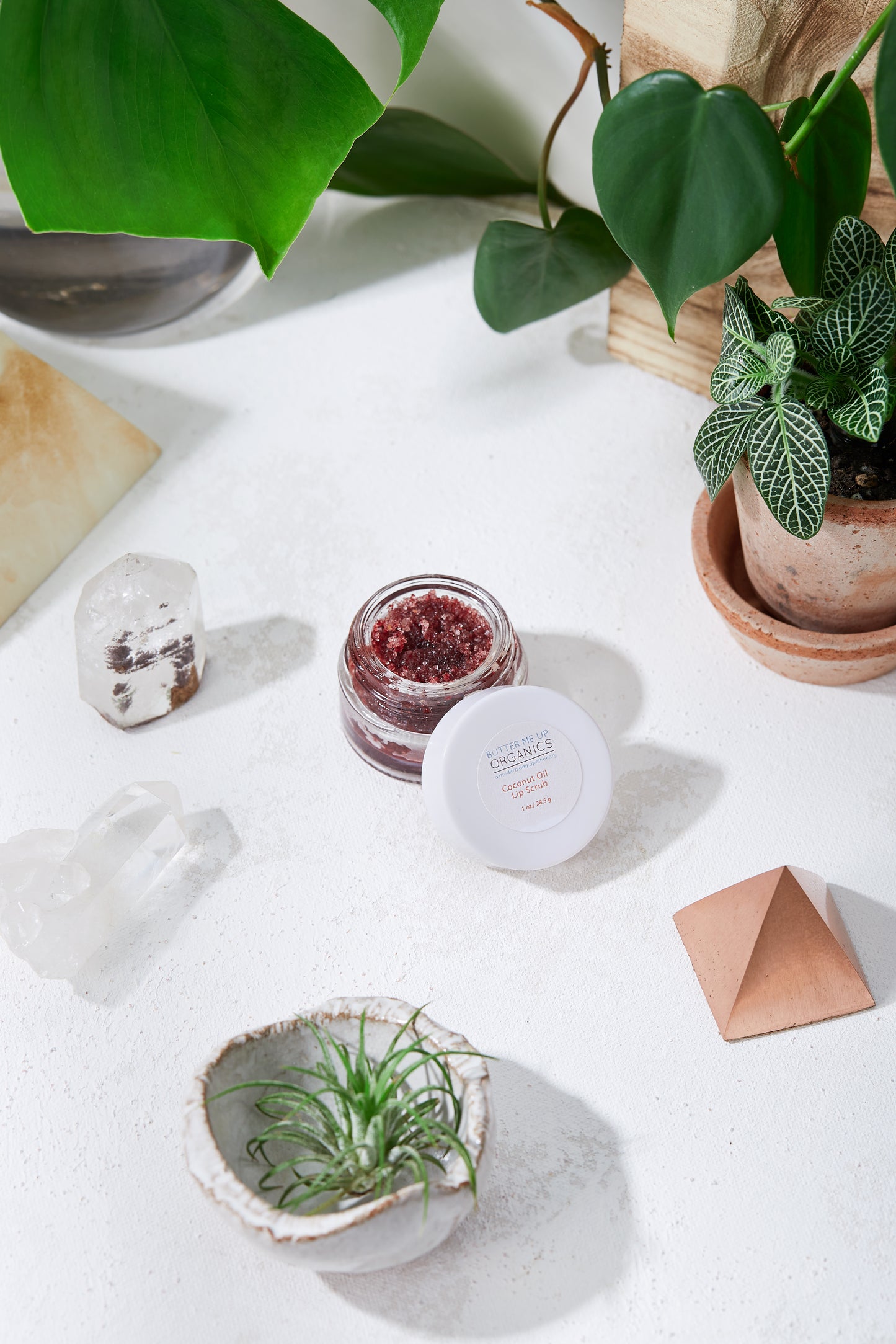 Organic Coconut Lip Scrub | Pharmacy