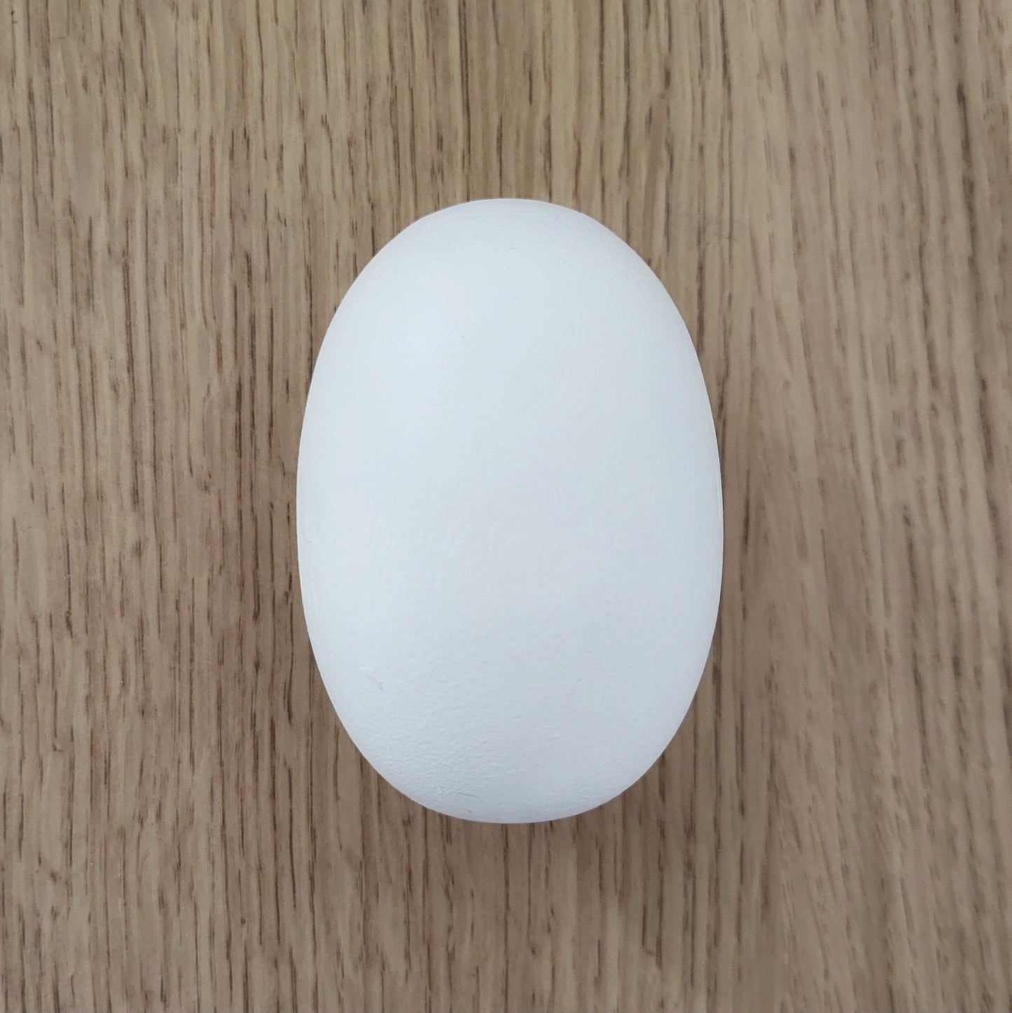 Cabinet knob OVAL | White | Home Improvement