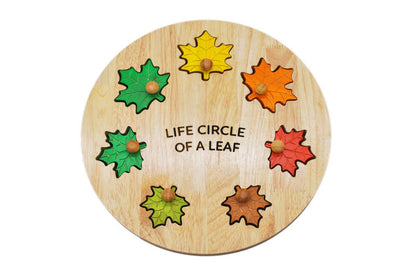 QToys Australia (USA) Leaf Circle Of Life Puzzle