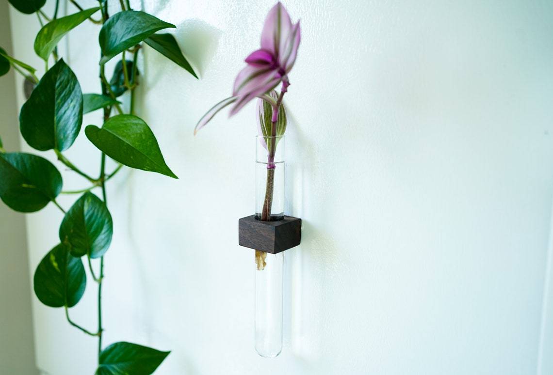 Magnetic Flower & Propagation Vase