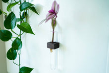 Load image into Gallery viewer, Magnetic Flower &amp; Propagation Vase
