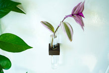 Load image into Gallery viewer, Magnetic Flower &amp; Propagation Vase
