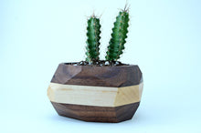 Load image into Gallery viewer, Geometric Cactus &amp; Succulent Planter
