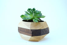 Load image into Gallery viewer, Geometric Cactus &amp; Succulent Planter
