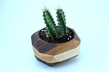 Load image into Gallery viewer, Geometric Cactus &amp; Succulent Planter
