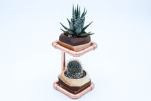 Load image into Gallery viewer, Geometric Double Cactus &amp; Succulent Planter with
