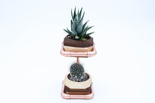 Load image into Gallery viewer, Geometric Double Cactus &amp; Succulent Planter with
