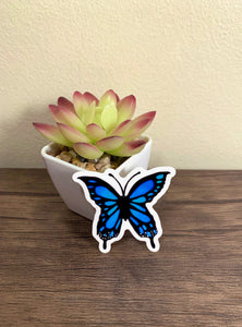 Blue Butterfly Sticker